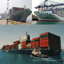 Compagnie d&#39;expédition / Agent de livraison / Frais de port / Frais de livraison de la Chine à Beira, Maputo Mozambique